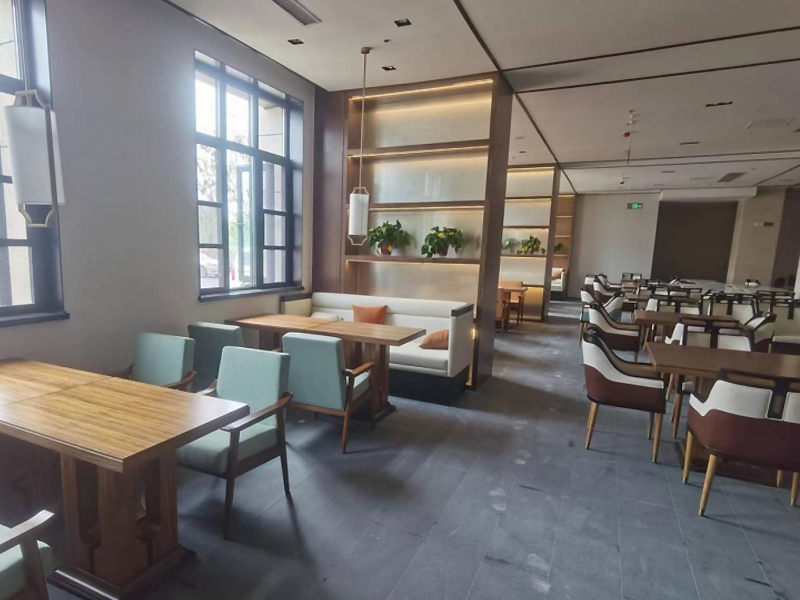 成武伯乐豪生公用区酒店家具